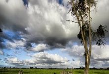 Lanbo-关于葡超赛程吃紧，达拉斯独行侠国际比赛日篮板制胜，悬念犹存，医务组通报恢复的信息